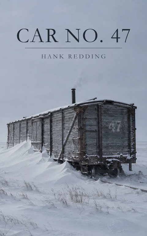 Car No. 47 cover